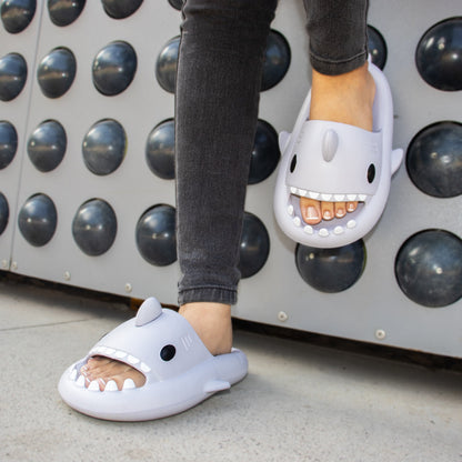 Pantuflas Sharkys