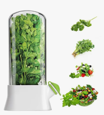 Conservador Verduras Frescas Recipiente