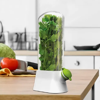 Conservador Verduras Frescas Recipiente