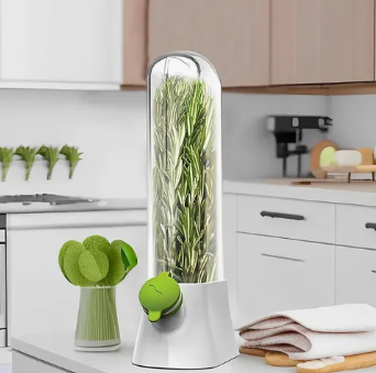 Conservador Verduras Frescas Recipiente