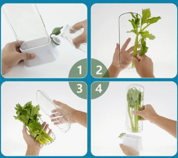 Conservador Verduras Frescas Recipiente